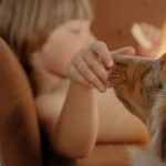 A young boy interacting closely with an Australian Shepherd dog inside a cozy room.